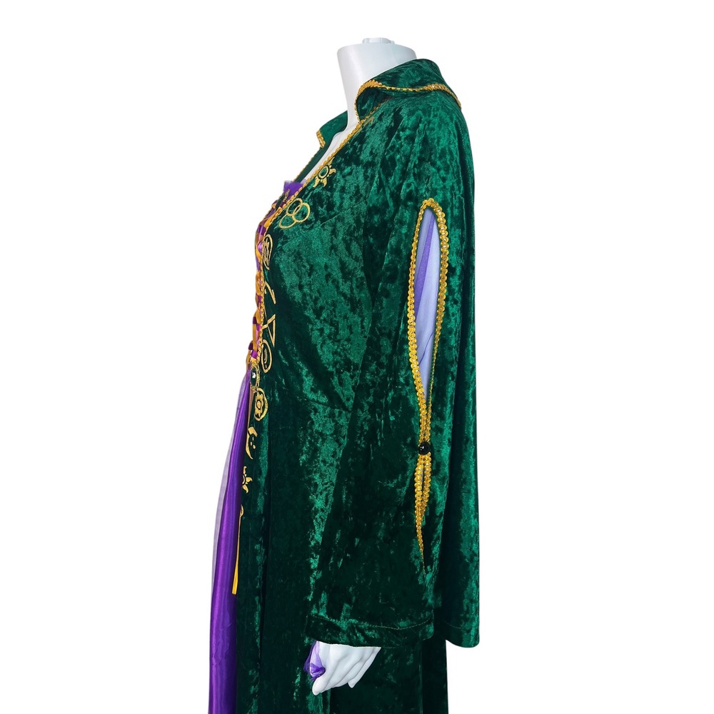 Hocus Pocus Winifred Sanderson Halloween Cosplay Velvet Medieval Gown Medium - Picture 3 of 16